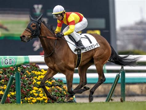 【3歳1勝クラス中山5rレース後コメント】エリカカリーナ戸崎圭太騎手ら 競馬ニュース Netkeiba