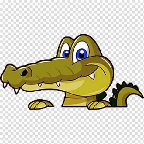 Alligators Crocodile Drawing Cartoon Crocodile Transparent Background