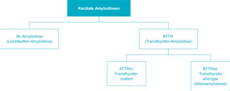 Kardiale Amyloidose LysoSolutions