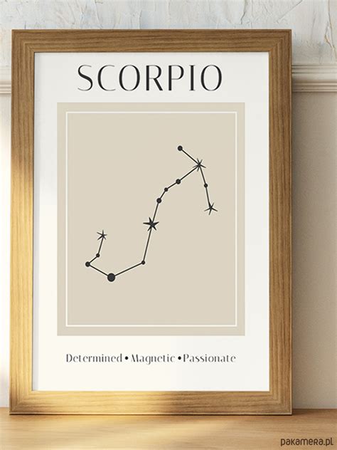 Plakat Znak Zodiaku Scorpio Pakamera Pl