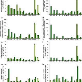 The Effect Of Various Cytokinins And Their Concentrations On The