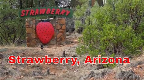 Strawberry Arizona Youtube