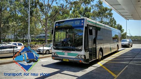 Transport For Nsw Vlog No Macquarie Centre Buses Youtube