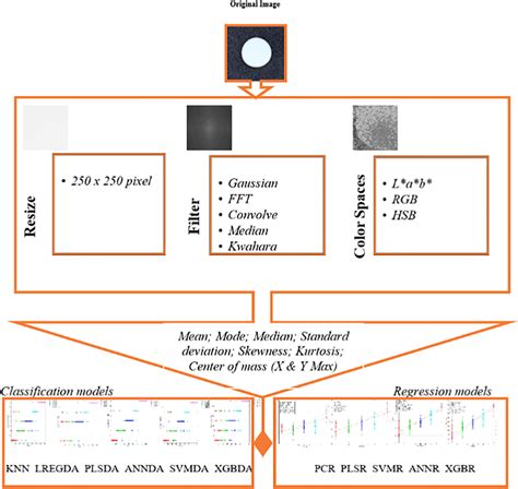 Description Of The Feature Extraction Classification And Regression