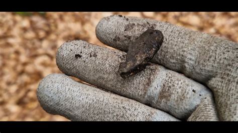 Zloto Srebro Las I Pla A Metaldetecting Deus Z Oto Gold