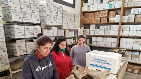 Jornadas de Investigación en el Museo Legado del Salado Diario Democracia