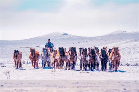 Mongolian Winter | The Best Time to Travel to Mongolia