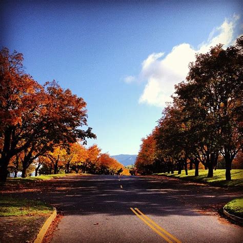 Rooster Rock State Park Photos - GayCities Portland