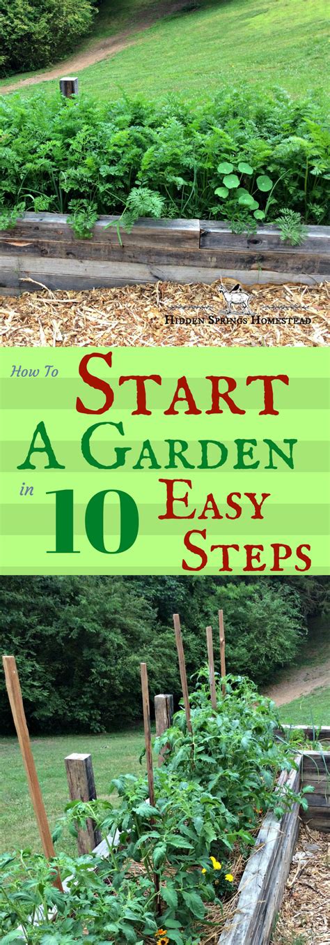 How To Start A Garden In Simple Steps Starting A Garden Vegetable