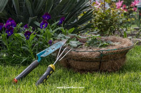 DIY Simple Lawn Care for Beginners in Easy Steps: Your Guide - Lawn Serv