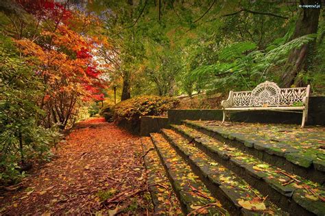 ławka Jesień Schody Park