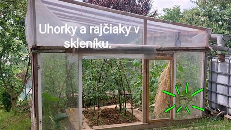 Uhorky A Raj Iaky V Skleniku J La Youtube