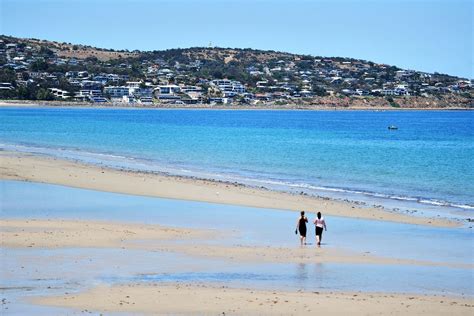 Brighton Beach | City of Holdfast Bay