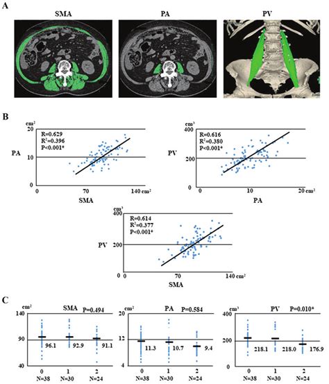 Sarcopenia Images Regression Analysis And Associations With Ovarian