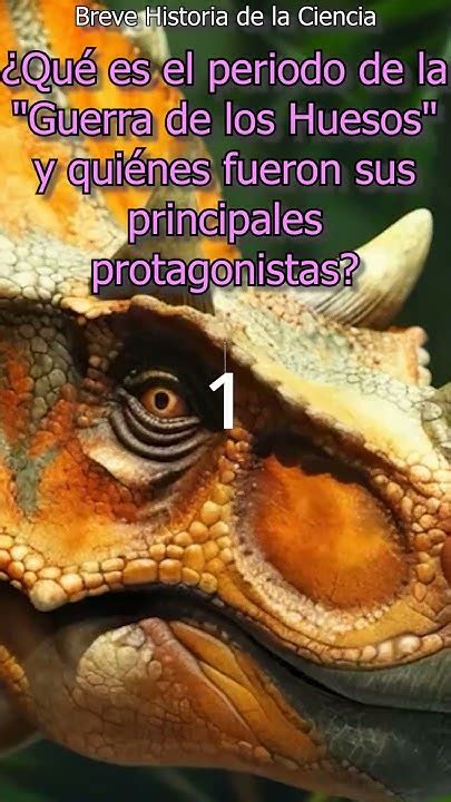 PaleontologÍa I Breve Historia De La Ciencia ¿qué Es El Periodo De La Guerra De Los Huesos