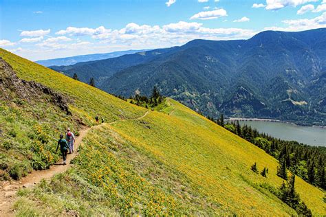 15 Epic Hikes In The Columbia Gorge For All Skill Levels