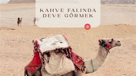 Kahve Falında Deve Görmek Fal Sepeti Blog