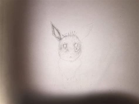 Eevee Pencil Drawing Pokémon Amino