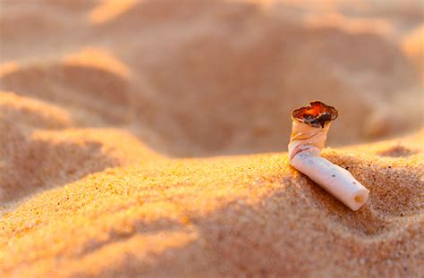 Colillas De Tabaco La Contaminaci N Que Producen En El Mar Wellwo