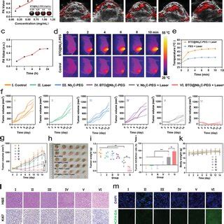 In Vitro Synergistic Therapy Of Ptt And Pct A Cytotoxicity Tests Of