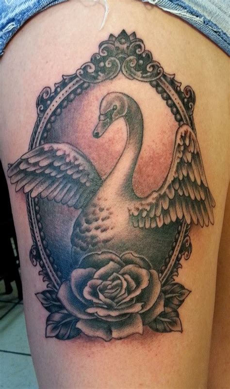 Great swan pictures - Tattooimages.biz