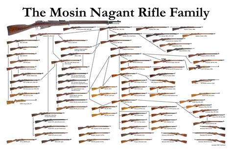 The Mosin Nagant Family Tree | Armory Blog