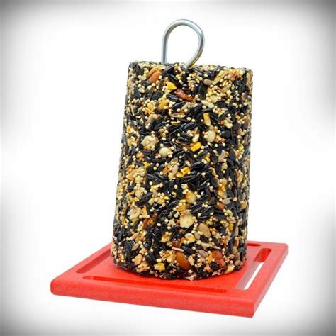 Recycled Plastic Standard Red Seed Cylinder Feeder