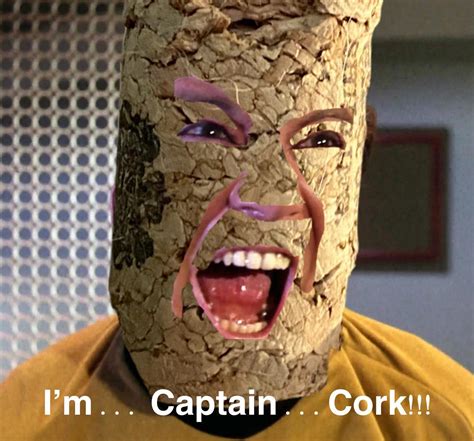 Captain Cork : r/startrekmemes