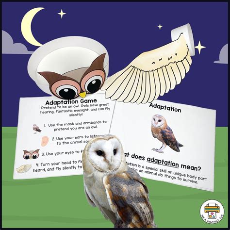 Nocturnal Animals Preschool Science Set