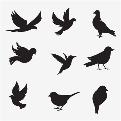 Bird Silhouette Collection | Vector and PNG