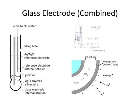 Ppt Ion Selective Electrodes Powerpoint Presentation Free Download