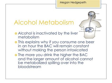 Alcohol Pharmacology