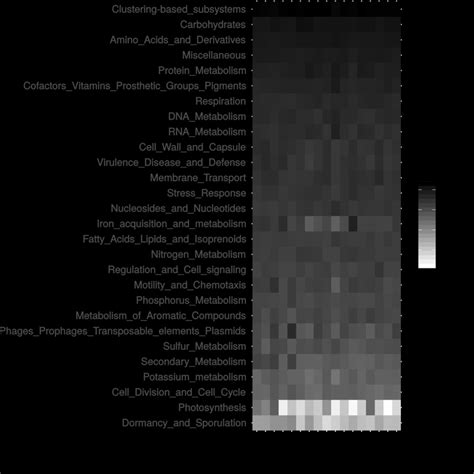 Summary Of Metagenomic Functional Profiles Heatmap Describing The Download Scientific Diagram