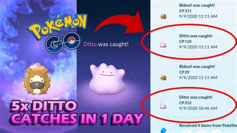 I Caught 5 Ditto In 1 Day [how To Find Ditto Easily With Pokemon Nests