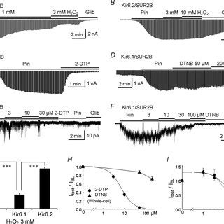 Redox Mediated Vascular K Atp Channel Inhibition A Whole Cell Voltage