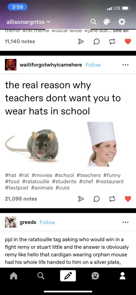 The Memeing of Ratatouille