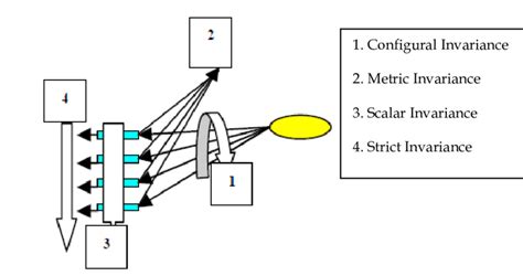 Analysis Steps For Measurement Invariance Source Başusta 2010 Download Scientific Diagram