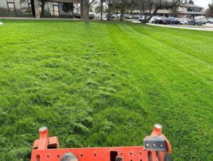 Grass Cutting Diamond Groundskeeping