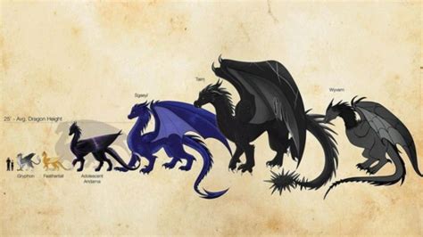 Fourth Wing Character Scale Wings Wallpaper Wings Drawing Dragon Wings