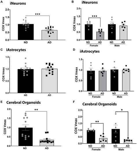 Cell Type And Sex Specific Mitochondrial Phenotypes In Ipsc Derived