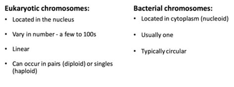 Microbio Microbial Genetics Flashcards Quizlet