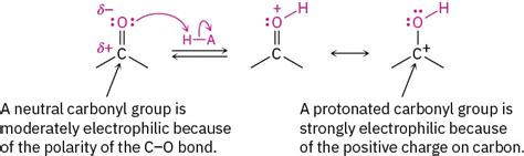 10 9 Nucleophilic Addition Of Alcohols Acetal Formation Fundamentals