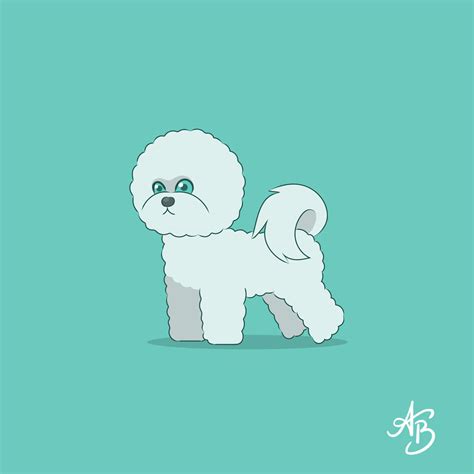 Bichon Frise | Bichon, Bichon frise, Dog breeds