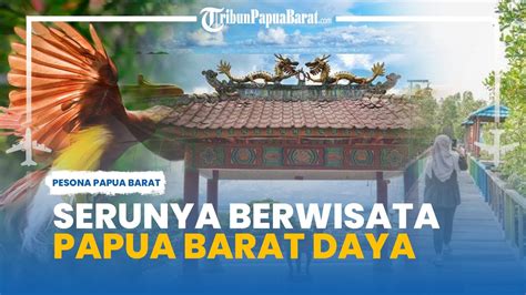 Melihat Serunya Wisata Papua Barat Daya Di Kota Sorong Ada Hutan