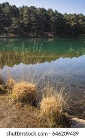 532 Clay Pit Pond Images, Stock Photos & Vectors | Shutterstock