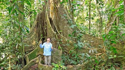 Tambopata Reserve 4 Days Jungle Peru Trips Nature Trips