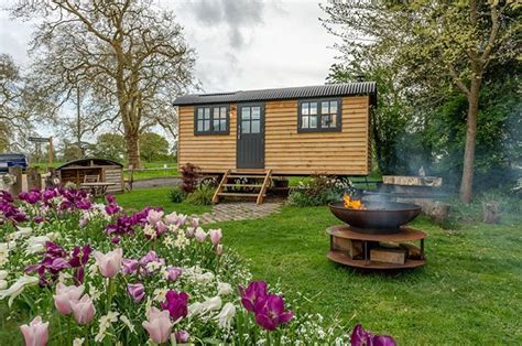 A Small Wooden Cabin Is Set Up In The Middle Of A Field With Purple Flowers