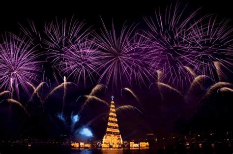 Árbol Navideño Flotante Más Grande Del Mundo Encendió Sus Luces En Brasil Ecuapana