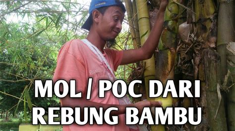 Cara Membuat Mol Rebung Bambu Poc Rebung Bambu Pupukorganik