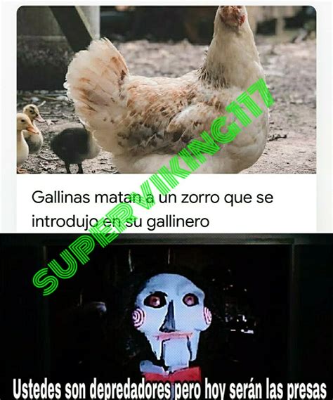 Gallina Meme